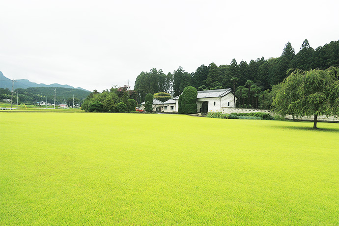One of the best rental areas is the lawn spreading for 6,000 square meters.